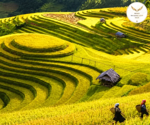 Best Time to Visit Ha Giang: Weather & Travel Guide for All 12 Months