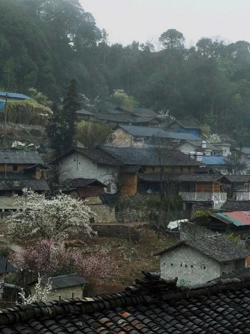 Beyond the Ha Giang Loop: Hidden Experiences Worth Discovering